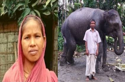 lalmonirhat husband buying all animals give wife dreams