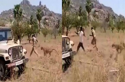 Leopard attacked two Nalgonda forest officers in Telangana