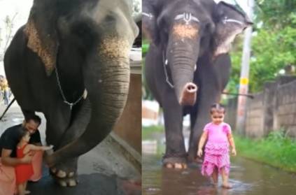 Lovely friendship between Elephant and 2 yr old baby went viral