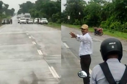 maharashtra tiger crosses road people ask to wait in road