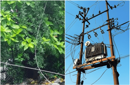 Man electrocuted to death after touching live wire