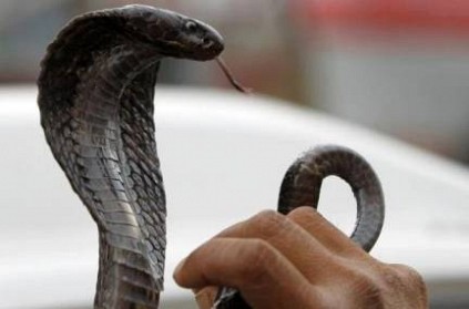Man strangles wife to death, attempts to pass off crime as snake bite