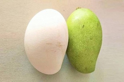 Mango shape egg photo goes viral on social media