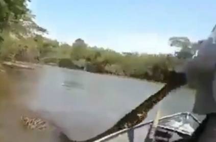 Men Try To Pull 17-Foot Anaconda From Water, video goes viral