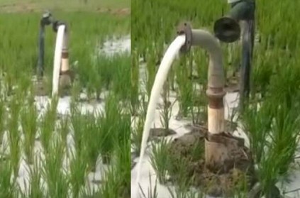 Milk water coming in Andhra farmer land video goes viral