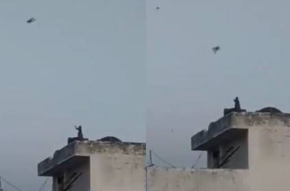 Monkey flying a kite during corona lockdown video goes viral