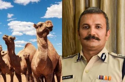 Mother from Rajasthan need Camel milk and IAS officer helps