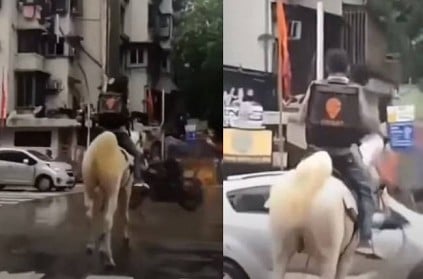 Mumbai swiggy delivery man rides horse amid rains