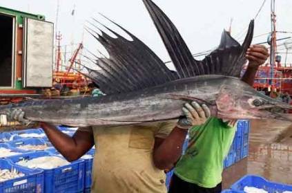 Odisha Fisherman catch rare Marine fish worth Rs.2 lakh