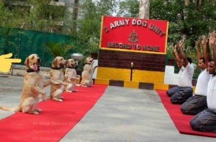 Army Dog Unit practiced Yoga on YogaDay 2019 Photos goes viral
