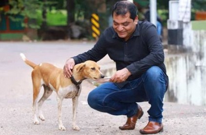Trivandrum dog shadow gets food delivered online