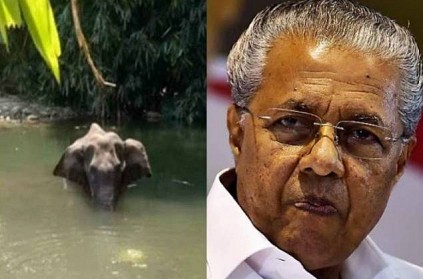 Pinarayi Vijayan tweet on pregnant elephant killing incident