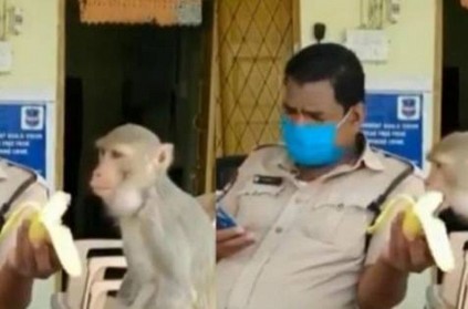 police man feeds banana to monkey videoviral