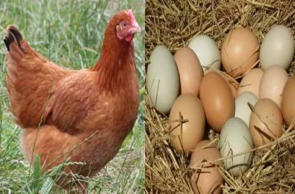 pune farmer complained police chicken did not lay eggs