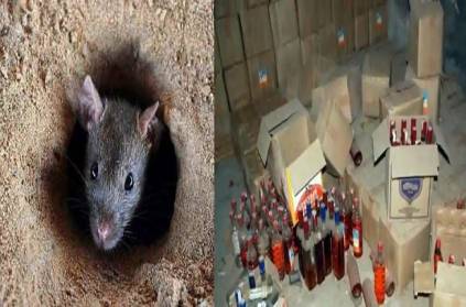 Rats 1400 bottles of counterfeit liquor Uttar Pradesh
