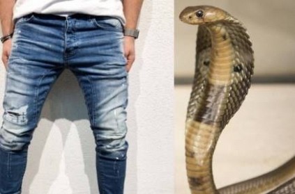 Snake Enters Man’s Pants While He Was Sleeping in UP