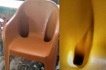 snake found inside the hole in a chair netizens react