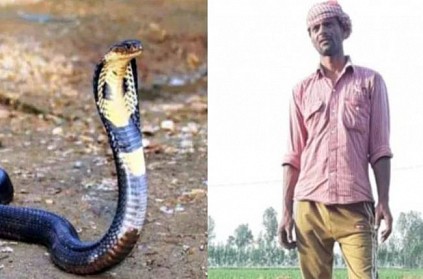 Snake took revenge by biting man 7 times in UP