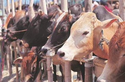 Suspends District Magistrate 4 officers Over Alleged Cow Shelter Fraud