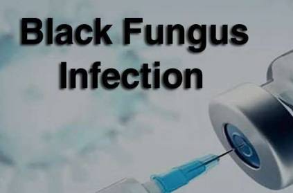 Techie Seeking Injection for Black Fungus Treatment Loses Rs 79,000
