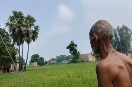 up man lives in palm tree after quarrel with his wife