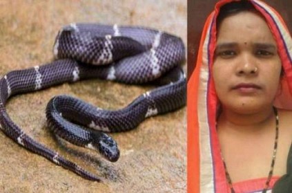 Uttar Pradesh women sits on snakes gets bitten and dies