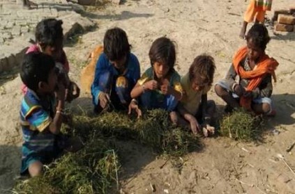 Varanasi village kids seen eating plants officials rush to help