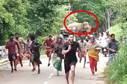 Villagers are run for their lives when an elephant charges in Kerala