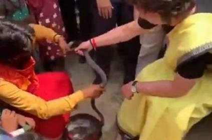 Watch Priyanka Gandhi holds snakes in hands at Raebareli video viral