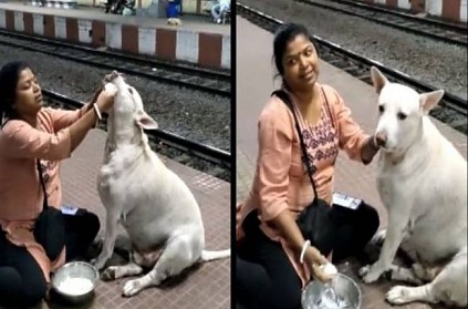 woman feeding curd rice to stray dog at a railway station