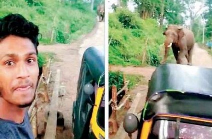 Young Man Take Selfie in front of wild Elephant, goes Viral