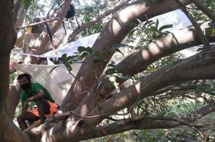 Young people isolated in tree branches due to lack of housing