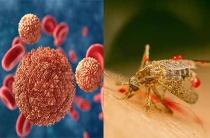 zika virus infection has been confirmed in Kerala state