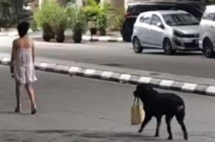 video of Dog holding its human’s handbag, goes viral