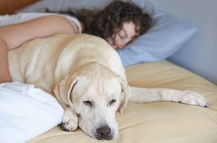 Women prefer sleeping with pets - Recent study