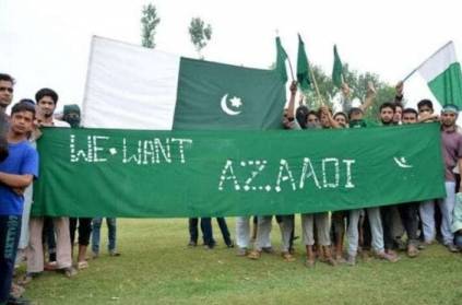 Did Pak Cricket Fans Say \'We Don\'t Want Kashmir, Give Us Virat Kohli\'?