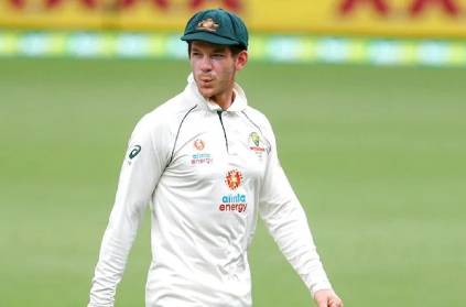 indian fans troll wrong tim paine on instagram after win at gabba