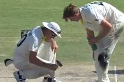 Pat cummins did repair works on pitch during 2nd test match