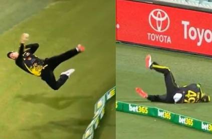 australian cricketer super hero fielding effect cause trouble