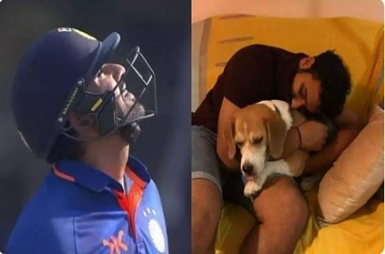 Rohit Sharma dedicates 50 against Sri Lanka to deceased pet dog