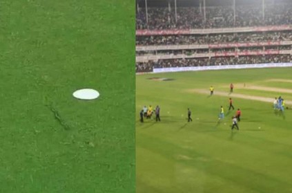snake enters in cricket ground while ind vs sa t 20 match