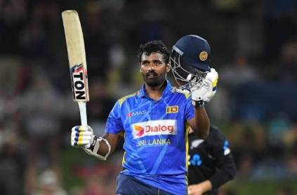 Sri Lankan cricket fan climbs tree wants team to fulfill this demand