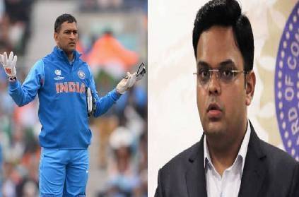 t20 world cup ms dhoni mentor role conflict of interest