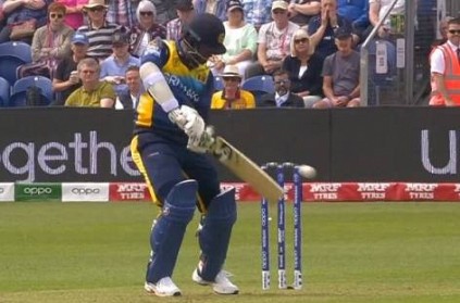 WATCH: Karunaratne not out, Even after ball hits stumps