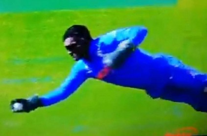 WATCH: MS Dhoni takes an exceptional diving catch