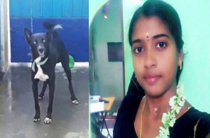 23 year old girl commits suicide for pet dog in Coimbatore