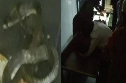 9th std school girl died of snake bite in hostel in Dindigul