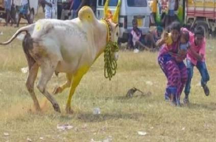 A Bull jumps over a mother who came with her children