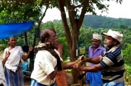 a man was strangled by python unexpectedly in tn kerala border