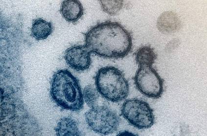 A new type of coronavirus virus spread in Tamil Nadu